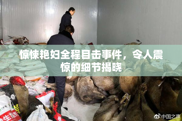 惊悚艳妇全程目击事件，令人震惊的细节揭晓