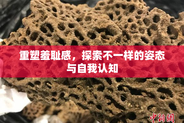 重塑羞耻感，探索不一样的姿态与自我认知
