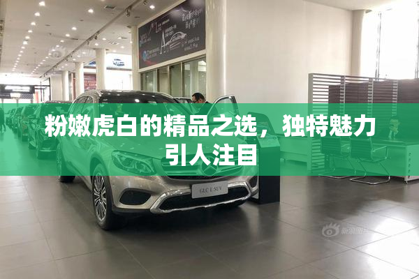 粉嫩虎白的精品之选，独特魅力引人注目