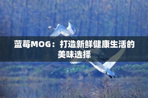蓝莓MOG：打造新鲜健康生活的美味选择