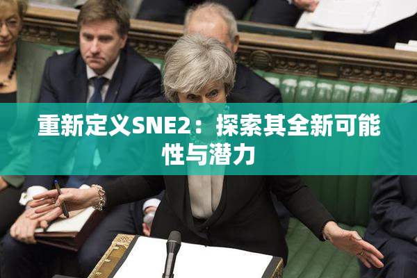 重新定义SNE2：探索其全新可能性与潜力