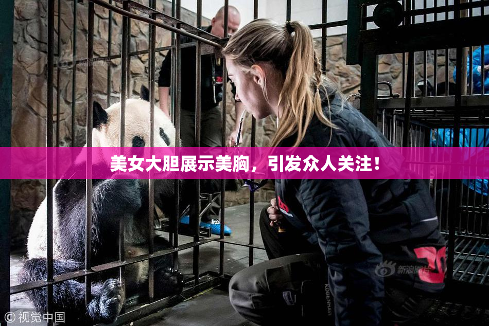 美女大胆展示美胸，引发众人关注！