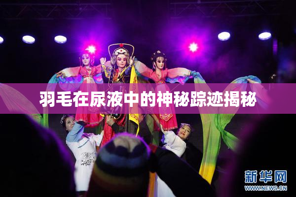 羽毛在尿液中的神秘踪迹揭秘