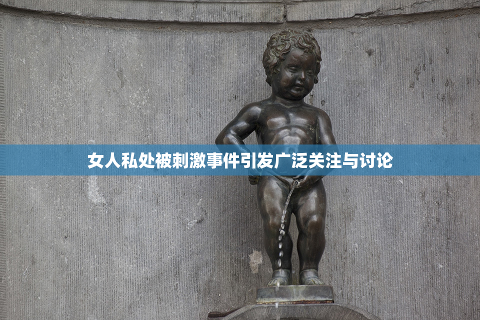 女人私处被刺激事件引发广泛关注与讨论