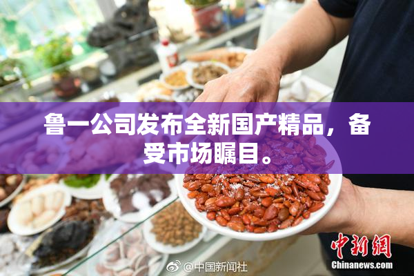 鲁一公司发布全新国产精品，备受市场瞩目。