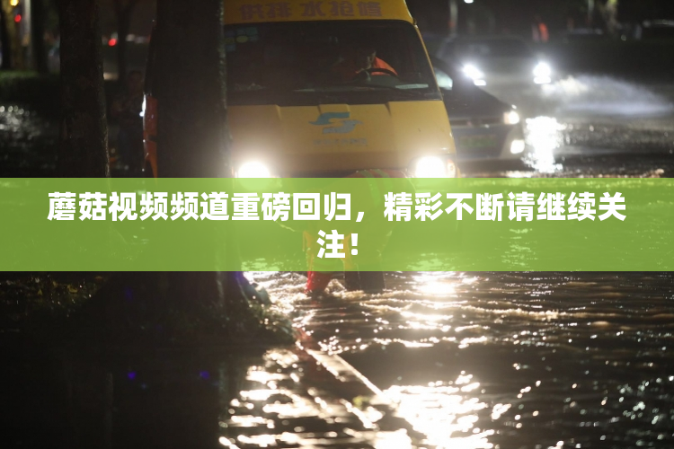 蘑菇视频频道重磅回归，精彩不断请继续关注！