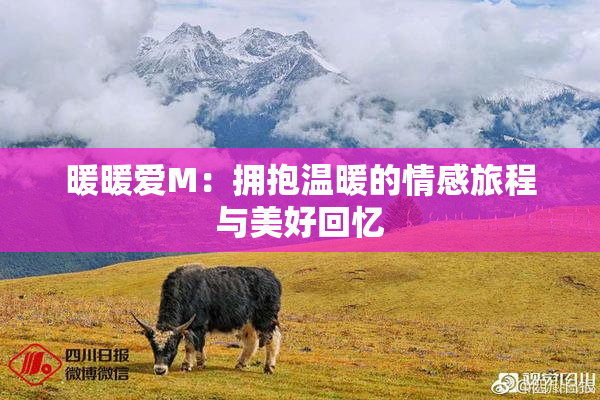 暖暖爱M：拥抱温暖的情感旅程与美好回忆