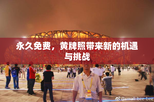 永久免费，黄牌照带来新的机遇与挑战