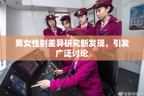 男女性别差异研究新发现，引发广泛讨论