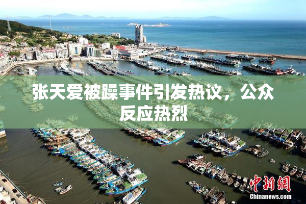 张天爱被躁事件引发热议，公众反应热烈