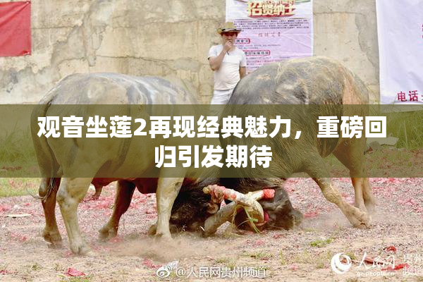观音坐莲2再现经典魅力，重磅回归引发期待