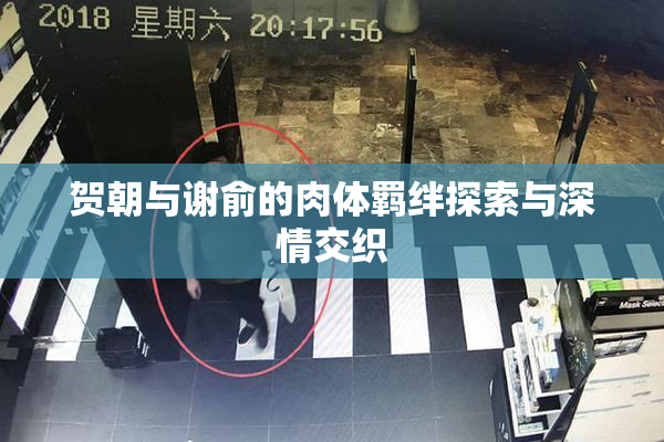 贺朝与谢俞的肉体羁绊探索与深情交织