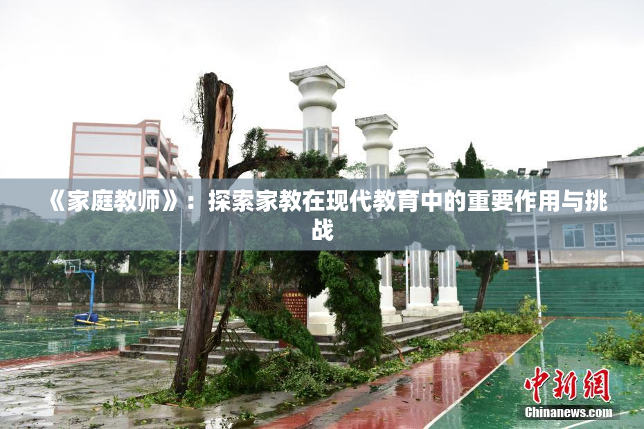 《家庭教师》：探索家教在现代教育中的重要作用与挑战