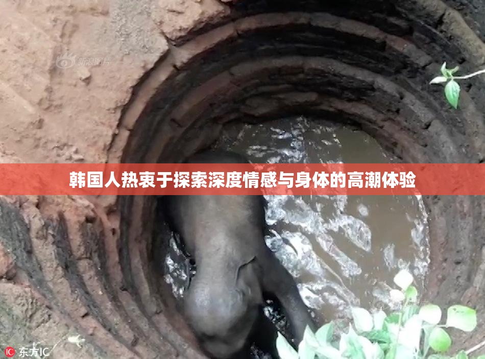 韩国人热衷于探索深度情感与身体的高潮体验