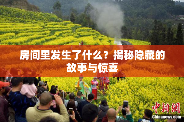 房间里发生了什么？揭秘隐藏的故事与惊喜