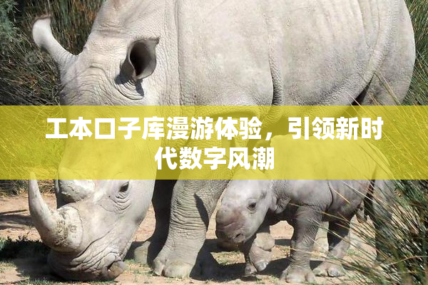 工本口子库漫游体验，引领新时代数字风潮