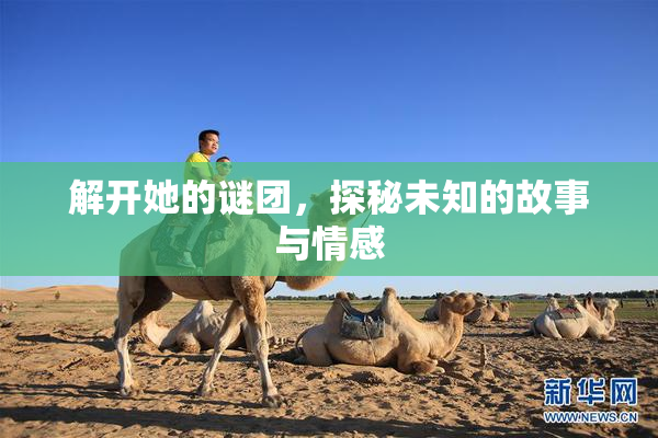 解开她的谜团，探秘未知的故事与情感