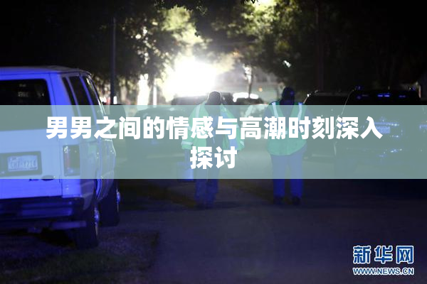 男男之间的情感与高潮时刻深入探讨