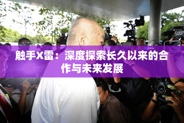 触手X雷：深度探索长久以来的合作与未来发展