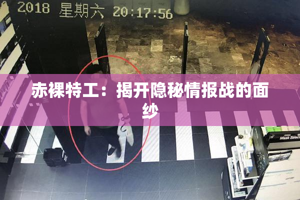 赤裸特工：揭开隐秘情报战的面纱
