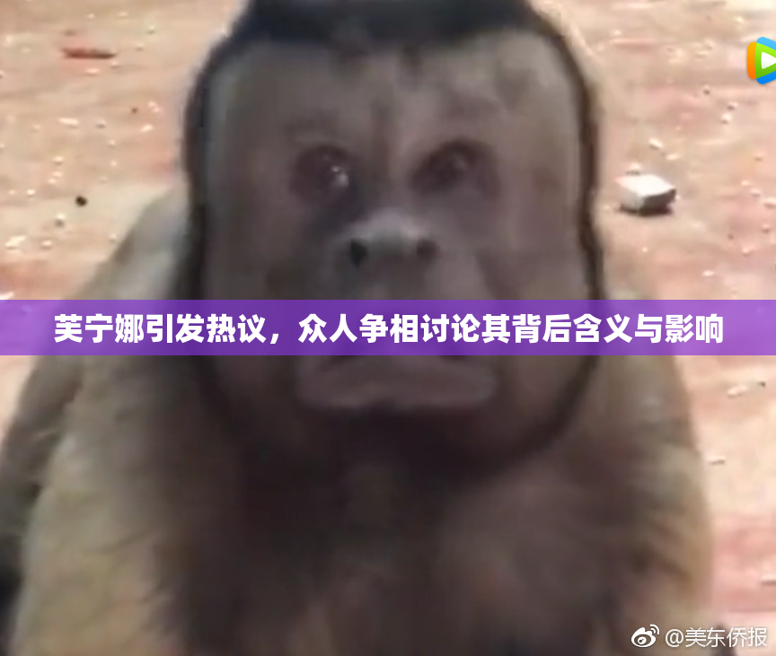 芙宁娜引发热议，众人争相讨论其背后含义与影响
