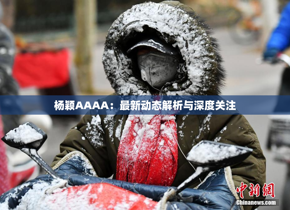 杨颖AAAA：最新动态解析与深度关注