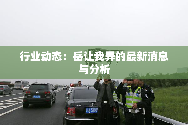 行业动态：岳让我弄的最新消息与分析