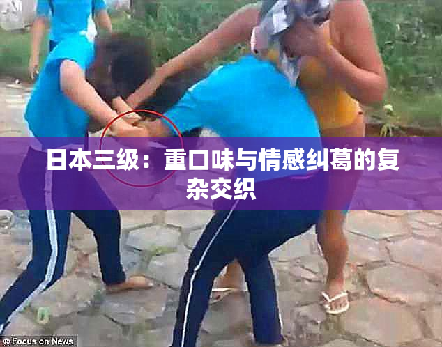 日本三级：重口味与情感纠葛的复杂交织