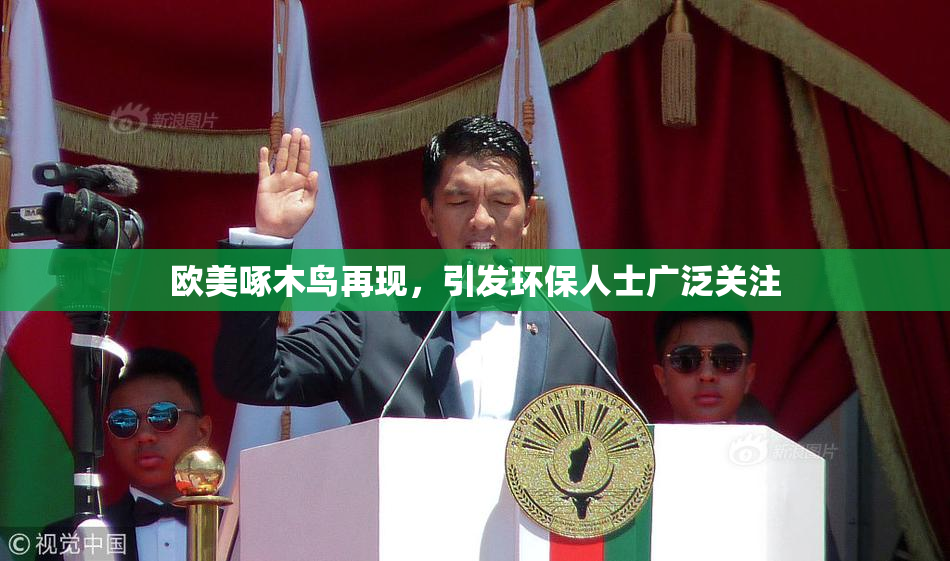 欧美啄木鸟再现，引发环保人士广泛关注