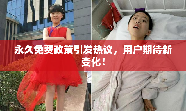 永久免费政策引发热议，用户期待新变化！
