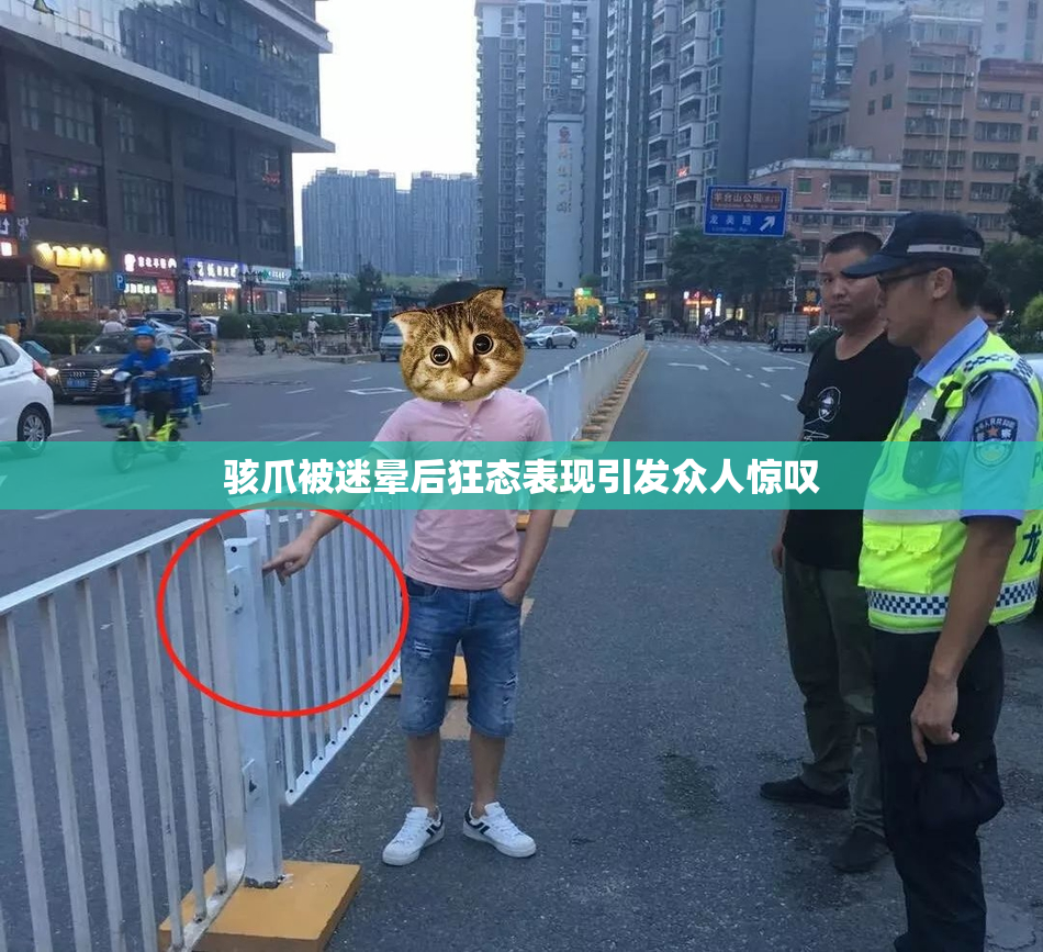 骇爪被迷晕后狂态表现引发众人惊叹