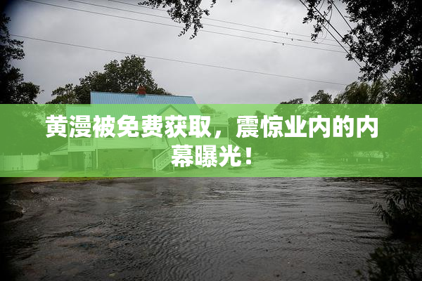 黄漫被免费获取，震惊业内的内幕曝光！