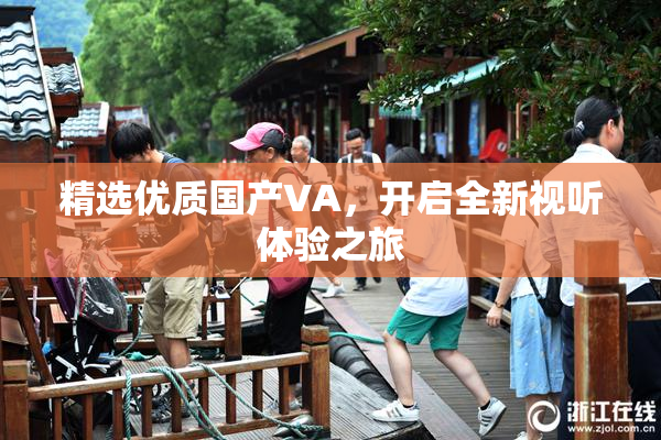 精选优质国产VA，开启全新视听体验之旅