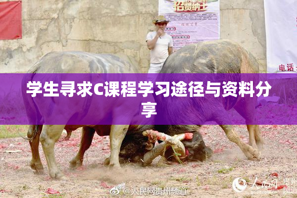 学生寻求C课程学习途径与资料分享