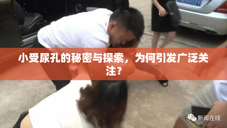 小受尿孔的秘密与探索，为何引发广泛关注？