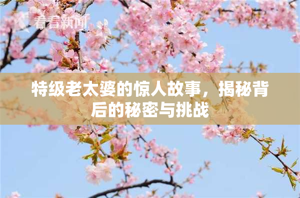 特级老太婆的惊人故事，揭秘背后的秘密与挑战