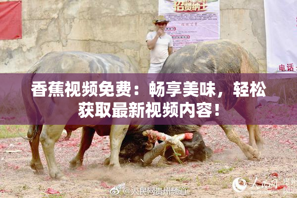 香蕉视频免费：畅享美味，轻松获取最新视频内容！
