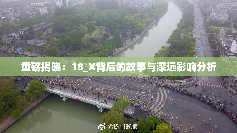 重磅揭晓：18_X背后的故事与深远影响分析