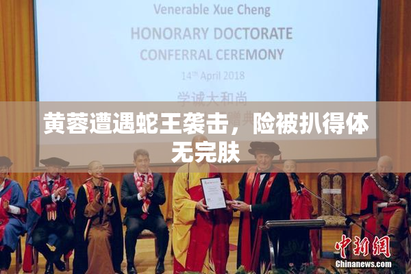黄蓉遭遇蛇王袭击，险被扒得体无完肤