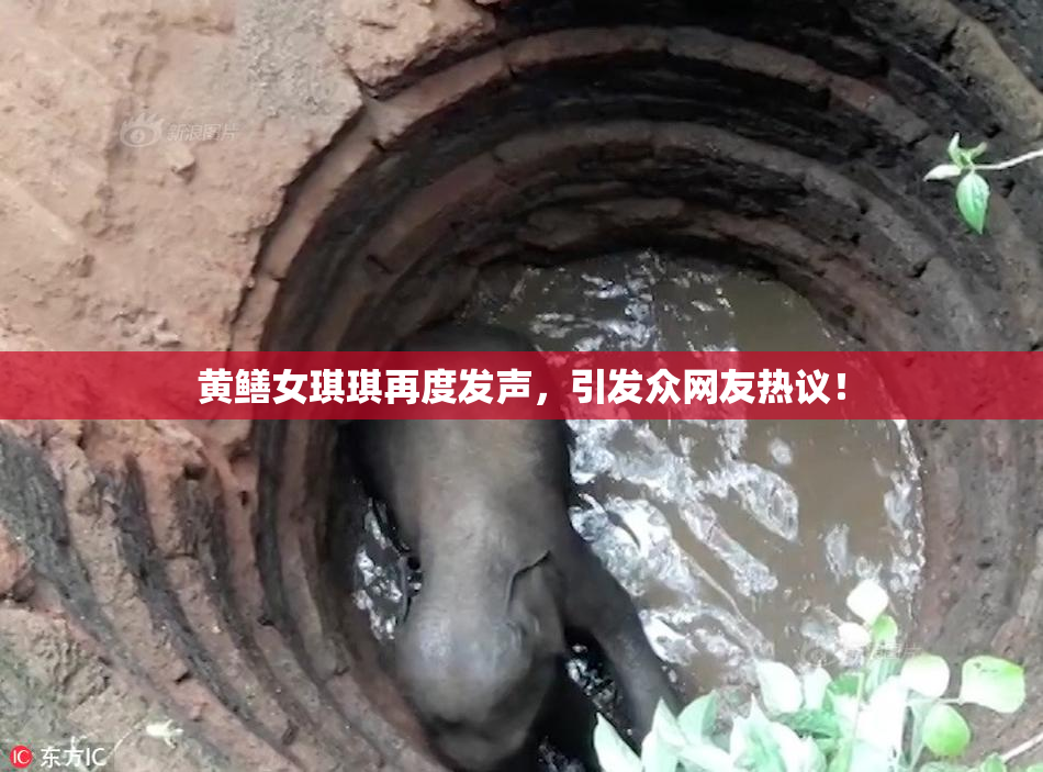 黄鳝女琪琪再度发声，引发众网友热议！