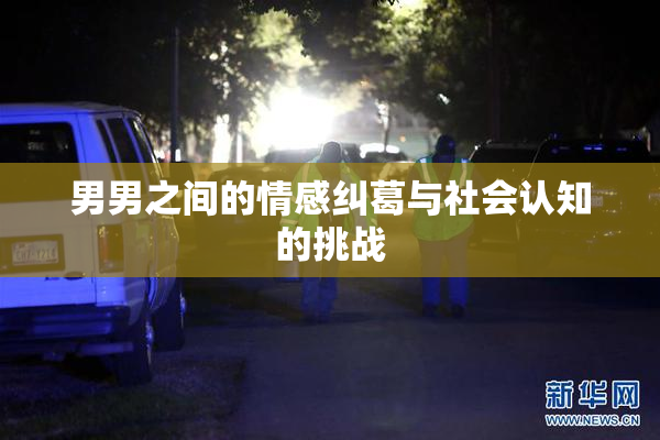 男男之间的情感纠葛与社会认知的挑战