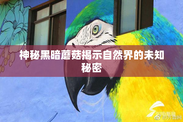 神秘黑暗蘑菇揭示自然界的未知秘密