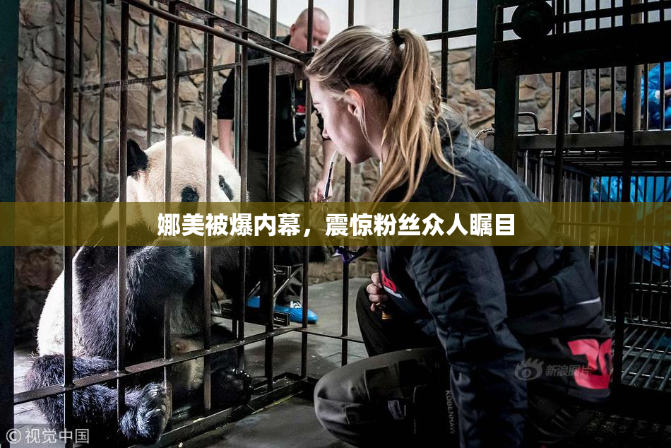 娜美被爆内幕，震惊粉丝众人瞩目