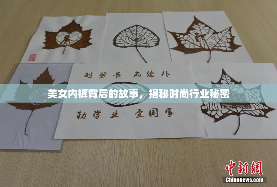 美女内裤背后的故事，揭秘时尚行业秘密