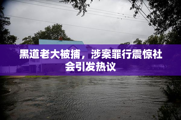 黑道老大被捕，涉案罪行震惊社会引发热议