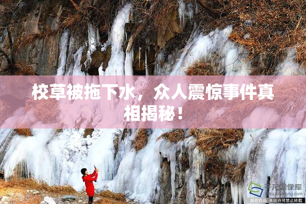 校草被拖下水，众人震惊事件真相揭秘！