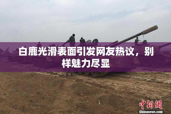 白鹿光滑表面引发网友热议，别样魅力尽显