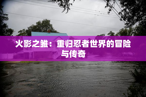 火影之雏：重归忍者世界的冒险与传奇