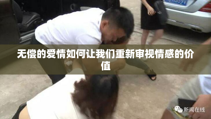 无偿的爱情如何让我们重新审视情感的价值