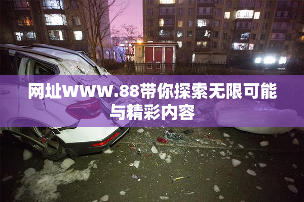 网址WWW.88带你探索无限可能与精彩内容